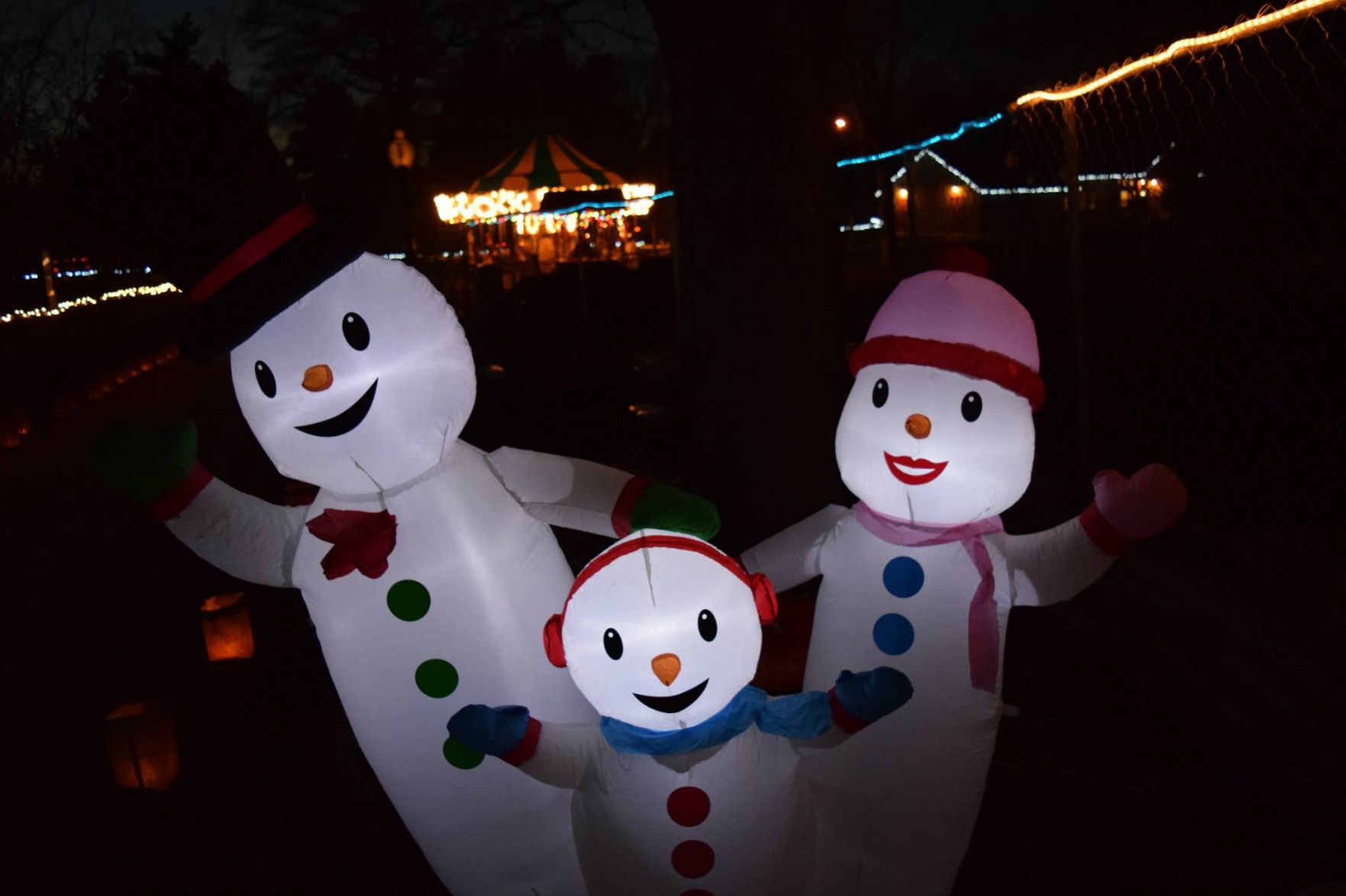 Zoo Wild Lights
